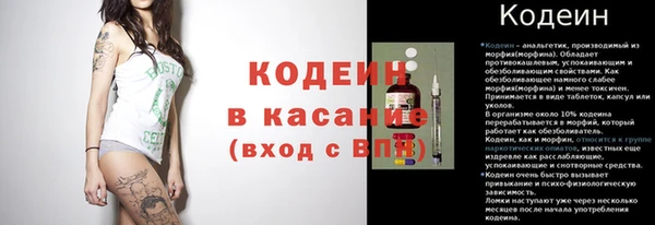 прущие крисы Кулебаки