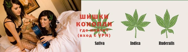 прущие крисы Кулебаки